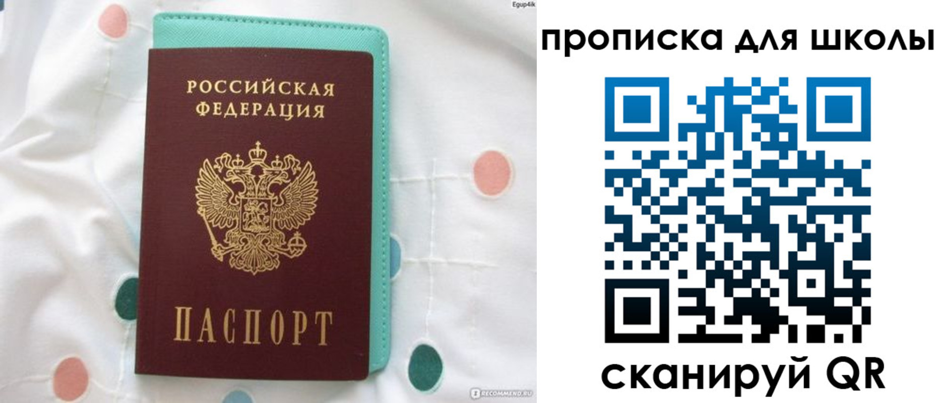 временная регистрация для всех в Завитинске